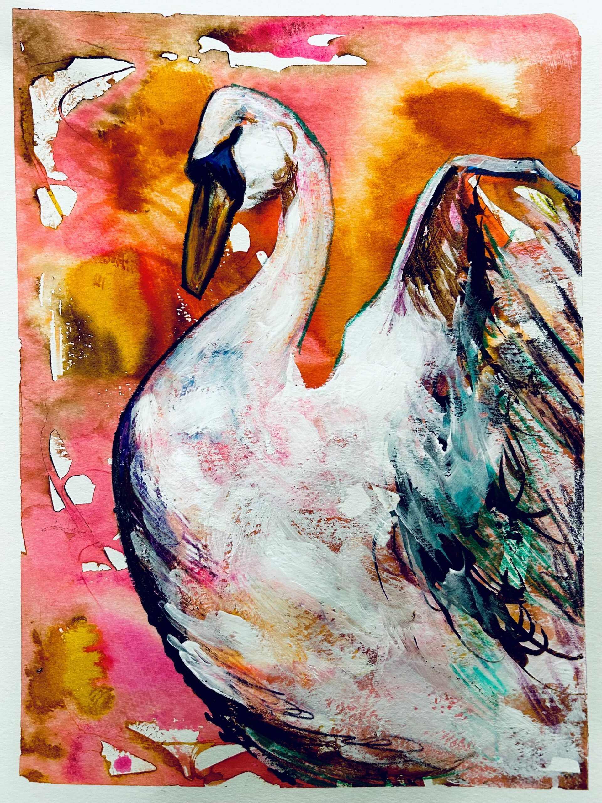 swan